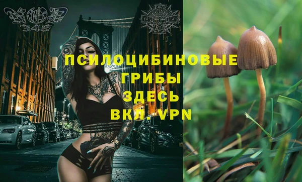 ECSTASY Армянск