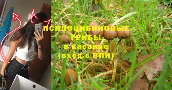 мет Аркадак
