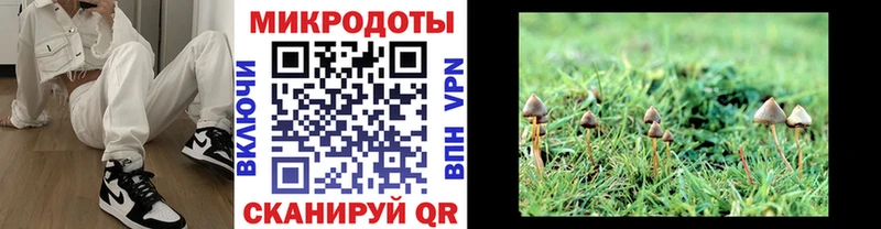 цены наркотик  Сунжа  Галлюциногенные грибы Psilocybe 